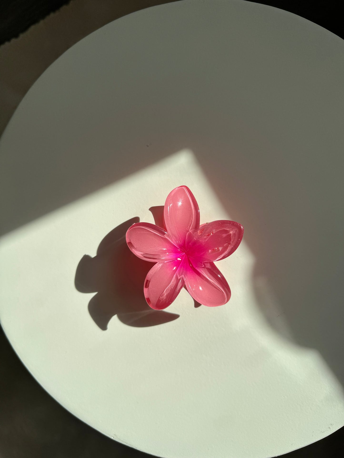 „HAWAII 1.0“ Haarspange